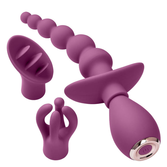 Cloud 9 Health and Wellness Anal Clitoral and Nipple Massager Kit - Purple WTC919