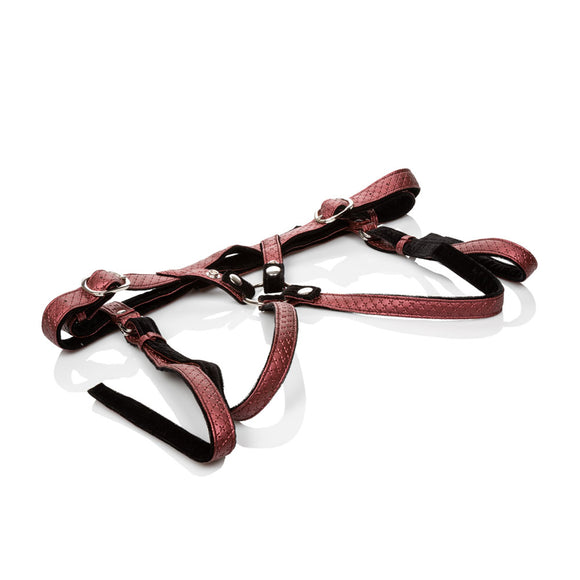 Her Royal Harness the Regal Duchess - Red SE1563103